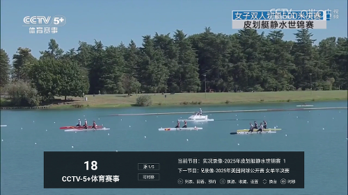 a2