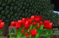 ҵҩ  ҵҩ