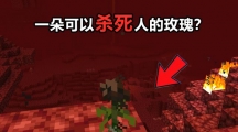 ҵ硷һ̵õ塰㻨ôã