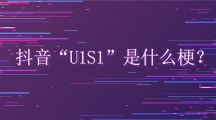 u1s1XXXXXʲô
