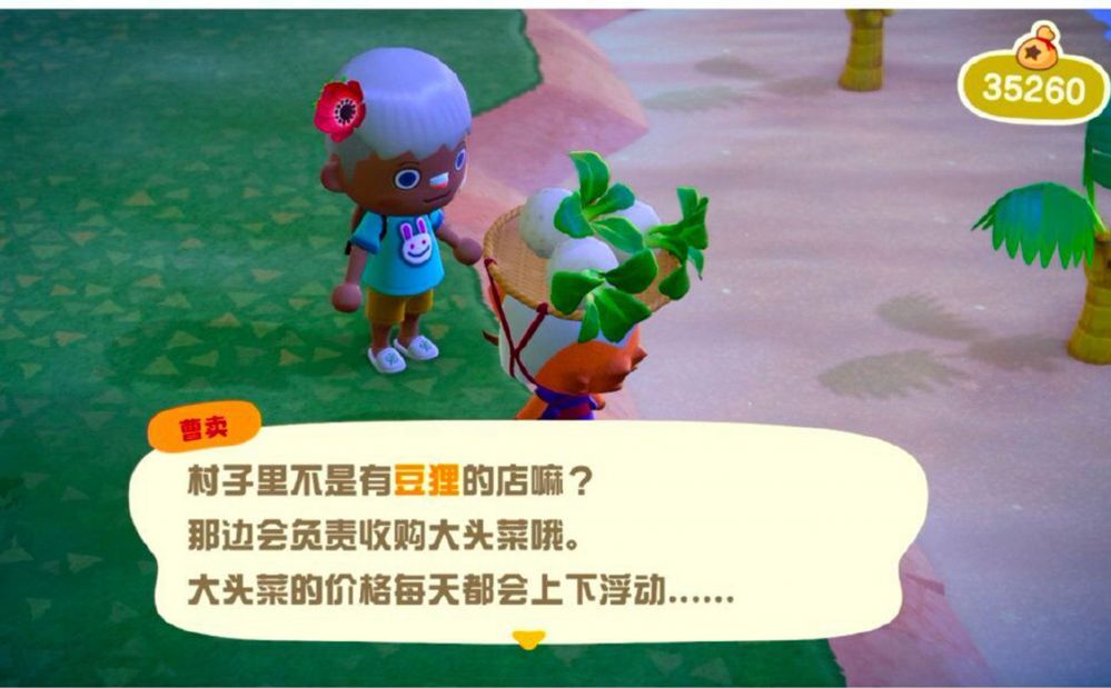 ɭѻnpcʲôʱ   ʱ