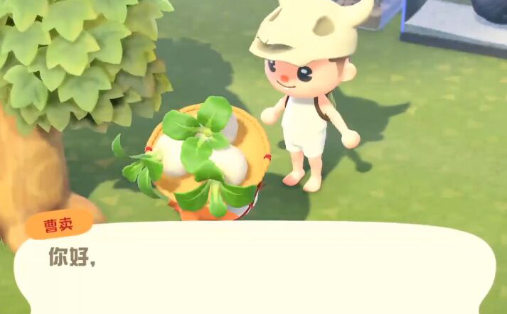 ɭѻǸ  ɭѻ