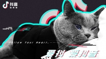 ȥʲô