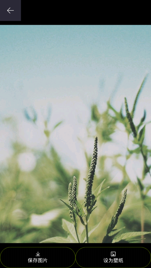 photo shop�ֻ���