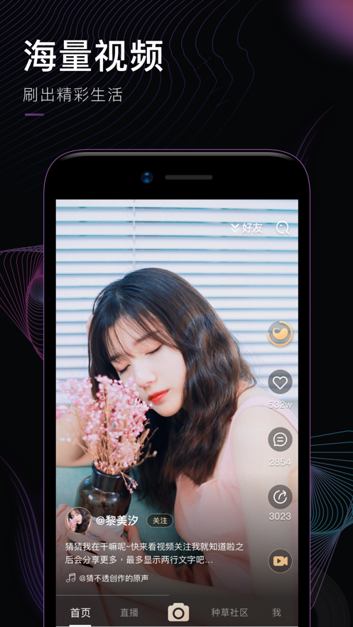 ͹������Ƶ