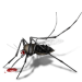 ɱ