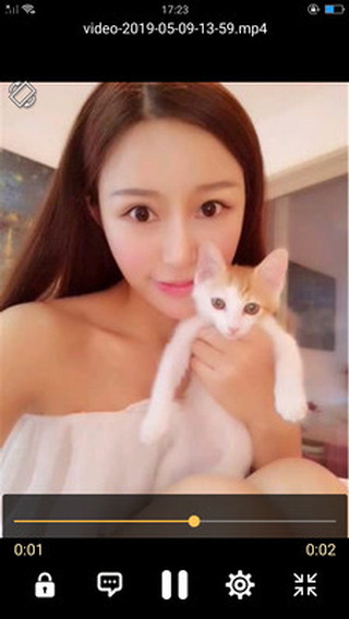 �ȷ���Ƶ������