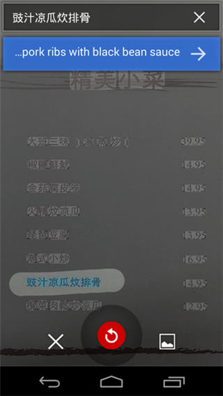 ȸ跭(Google Translate)