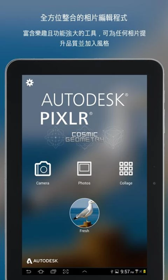 Autodesk Pixlr Express(ͼƬ)