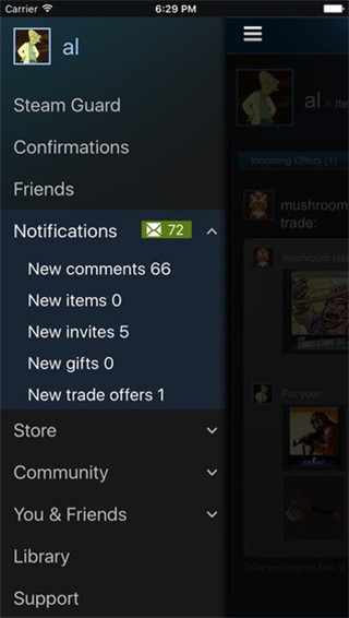 Steamֻ