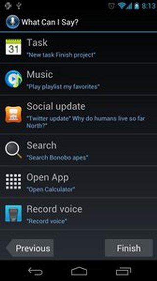 S Voice