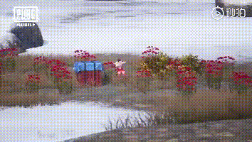 ̼ս˽װ :