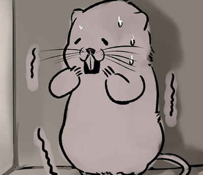 ȥô ȥԷ