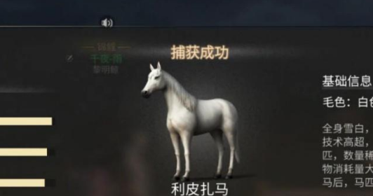 ֮